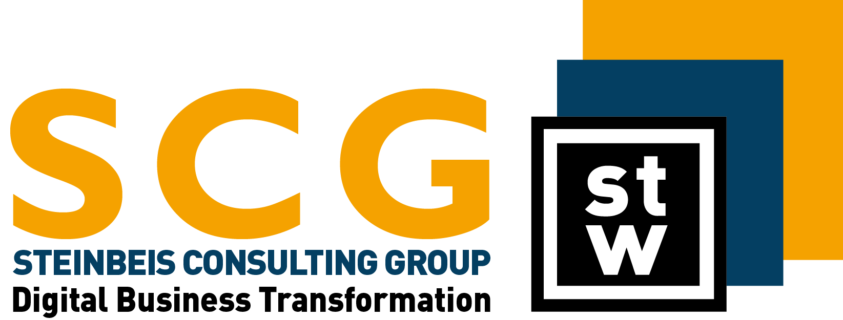 Logo Steinbeis Consulting Group Digital Business Transformation